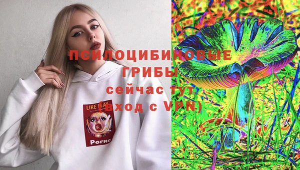 mdpv Арсеньев